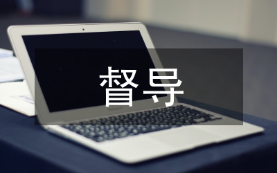整頓督導(dǎo)工作計劃