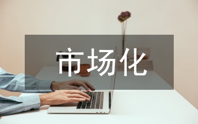鹽務(wù)局市場化改革工作計劃