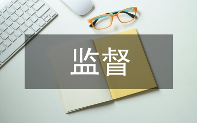 公司財(cái)務(wù)監(jiān)督理論及對策