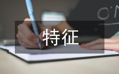 傳統(tǒng)媒體特征