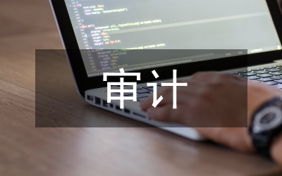 公司控股審計研究