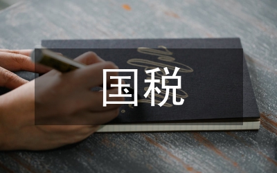 國稅經(jīng)驗交流
