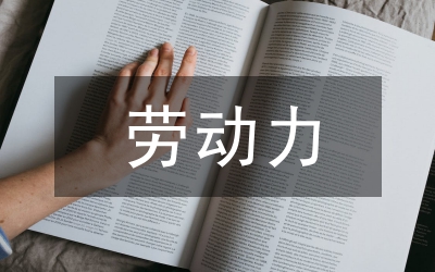 城市化進(jìn)程動(dòng)力研討論文
