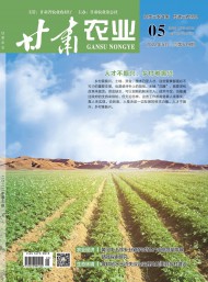甘肅農業(yè)